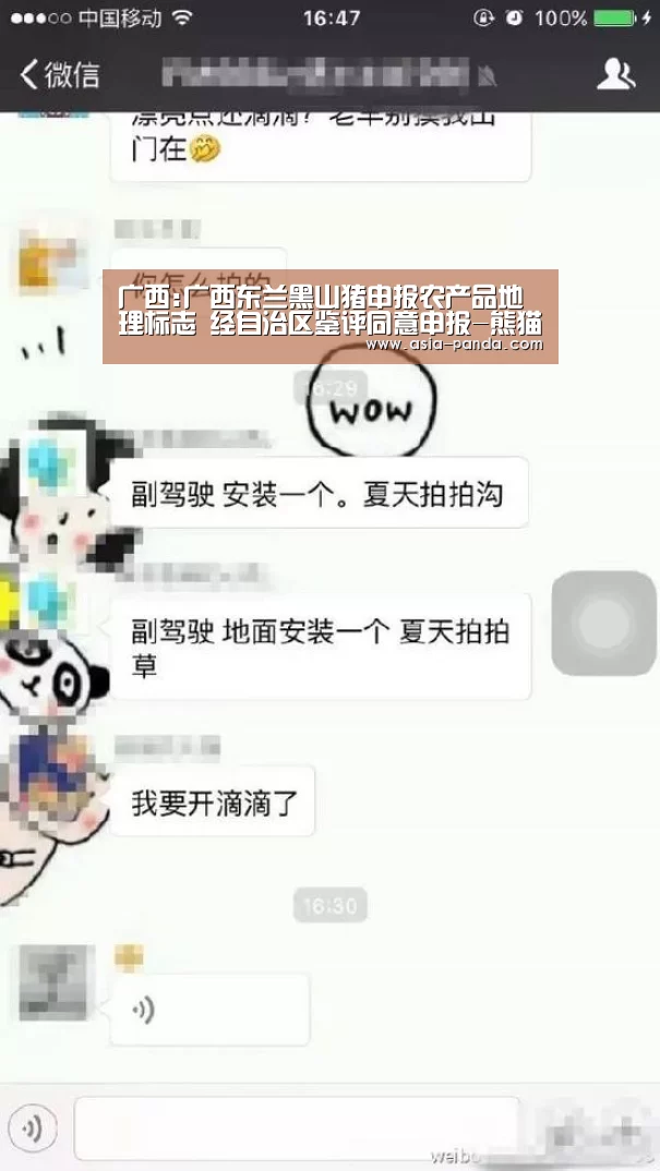 广西:广西东兰黑山猪申报农产品地理标志 经自治区鉴评同意申报-熊猫体育(图2) 熊猫体育平台