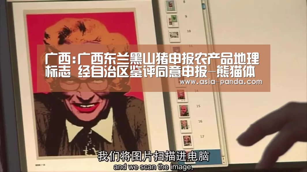 广西:广西东兰黑山猪申报农产品地理标志 经自治区鉴评同意申报-熊猫体育(图1) 熊猫体育直播