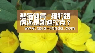 熊猫体育-捷豹路虎还是凯迪拉克?二线豪华谁将领跑(图1) 熊猫娱乐