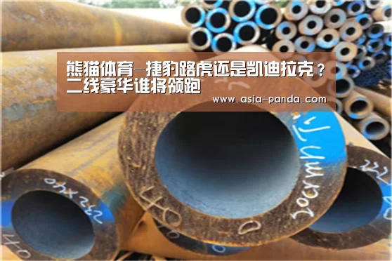 熊猫体育-捷豹路虎还是凯迪拉克?二线豪华谁将领跑(图3) 熊猫体育