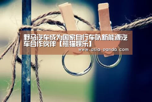 熊猫体育平台