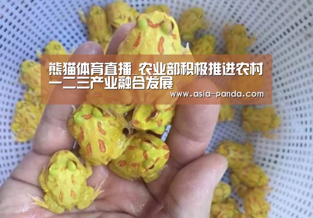 熊猫娱乐