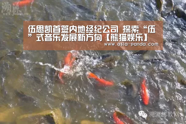 熊猫体育直播