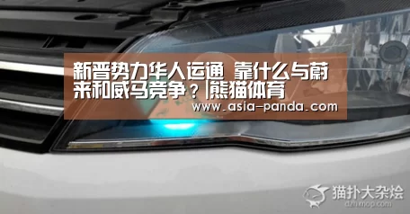 熊猫体育直播