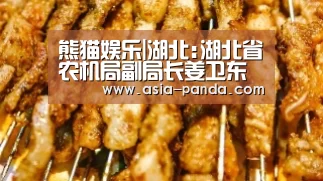 熊猫体育平台