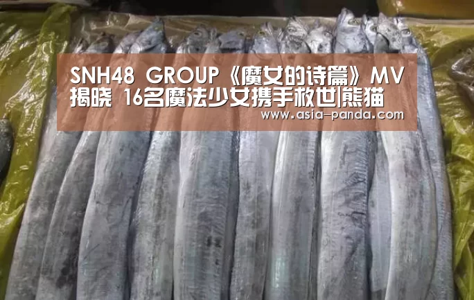 SNH48 GROUP《魔女的诗篇》MV揭晓 16名魔法少女携手救世|熊猫体育直播(图3) 熊猫体育