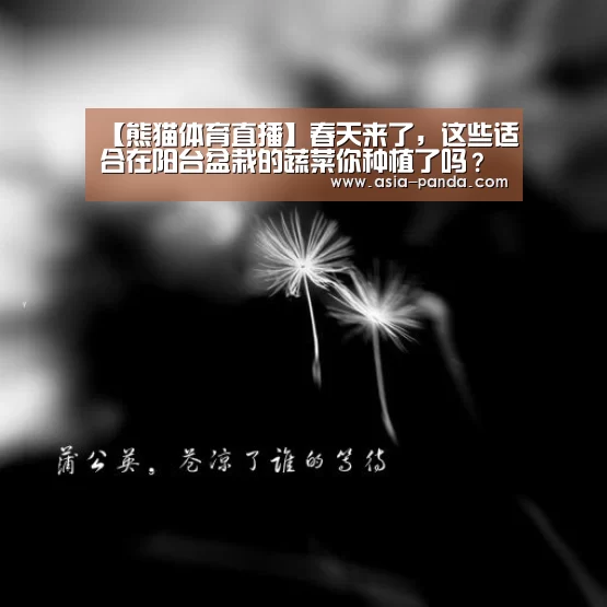 熊猫体育
