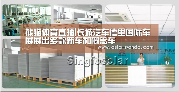 熊猫体育直播|长城汽车德里国际车展展出多款新车和概念车(图2) 熊猫体育