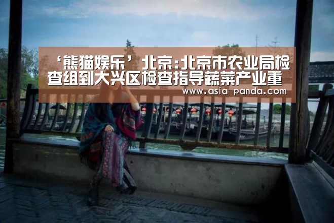 熊猫娱乐