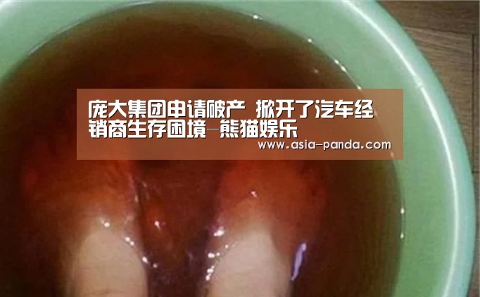 庞大集团申请破产 掀开了汽车经销商生存困境-熊猫娱乐(图2) 熊猫体育平台