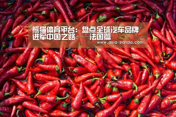 熊猫娱乐
