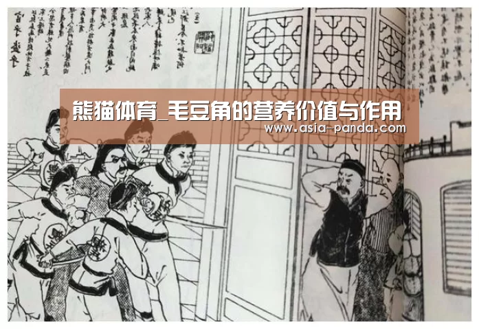 熊猫体育_毛豆角的营养价值与作用(图2) 熊猫体育平台